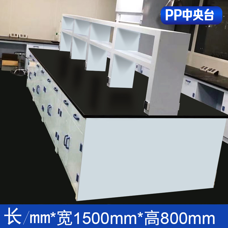 PP中央实验台